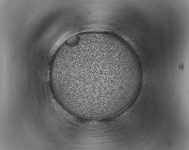 X0000114011459200910231804