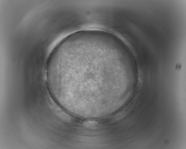 X0000114011462200910231804