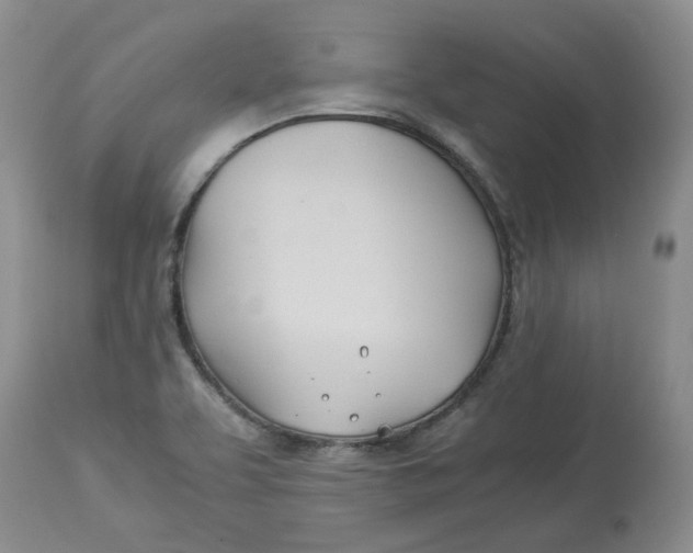 X0000114011463200910231804