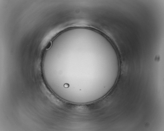 X0000114011464200910231804