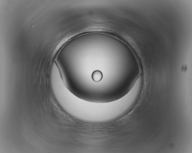 X0000114011465200910231804