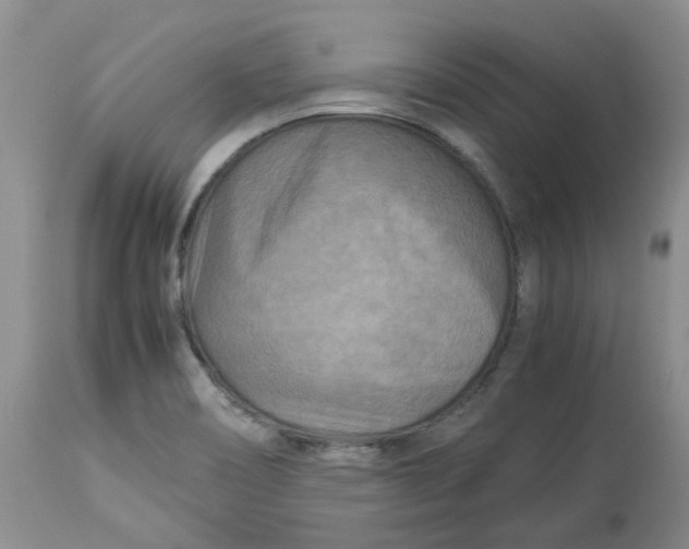 X0000114011466200910231804