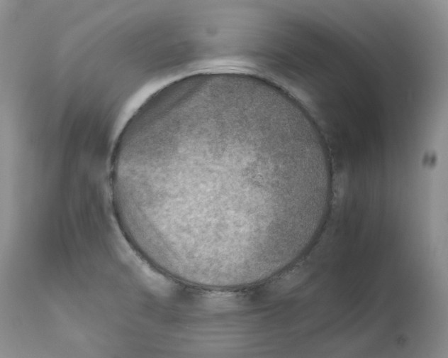 X0000114011470200910231804