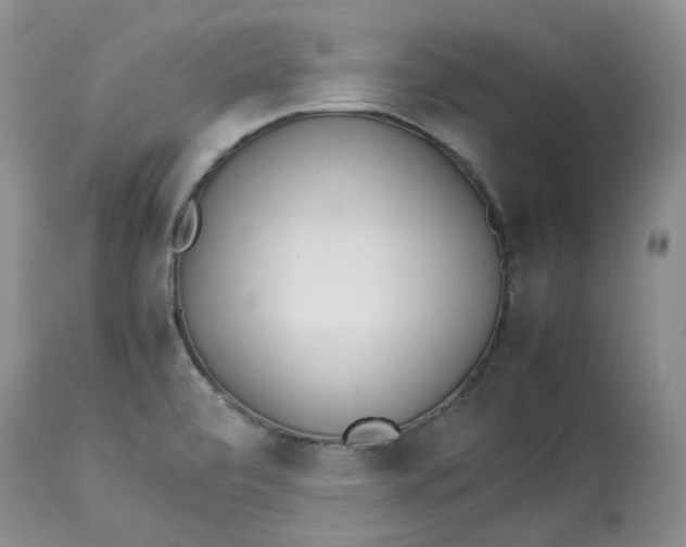 X0000114011472200910231804