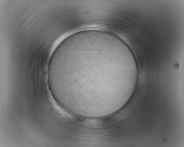 X0000114011474200910231804