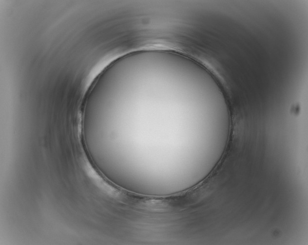 X0000114011476200910231804