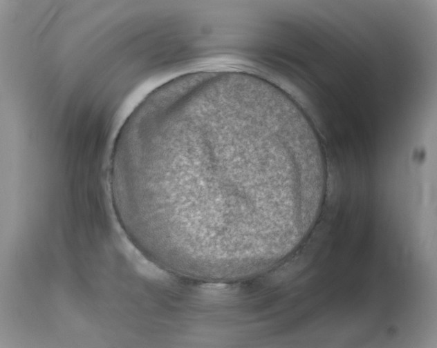 X0000114011478200910231804