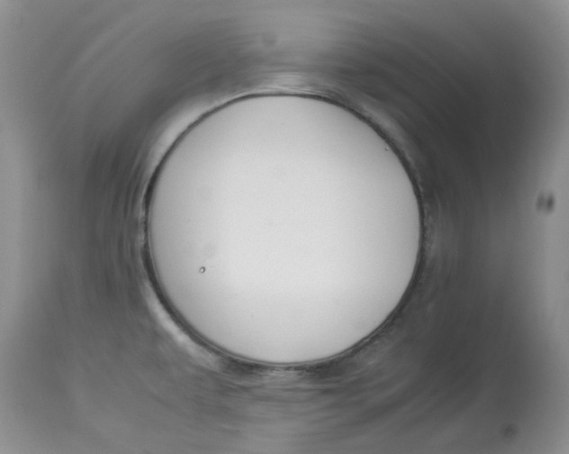 X0000114011479200910231804