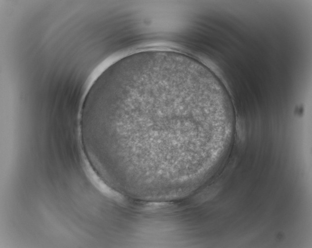 X0000114011482200910231803