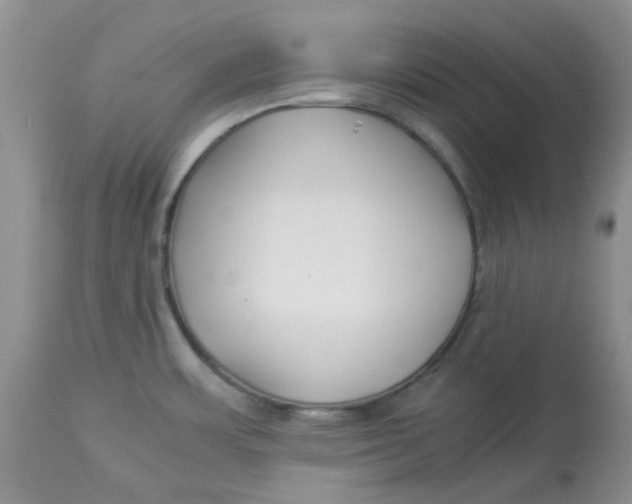 X0000114011483200910231803