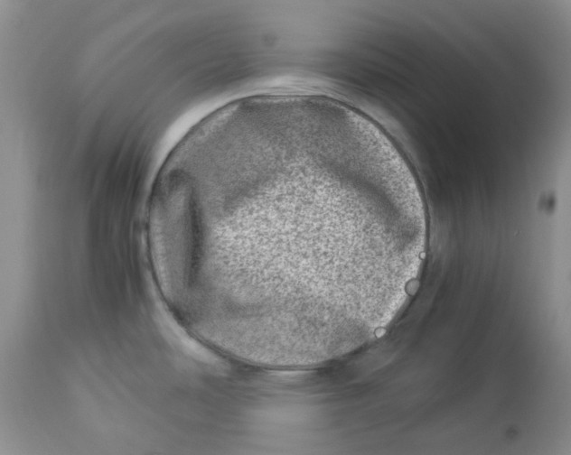 X0000114011486200910231803