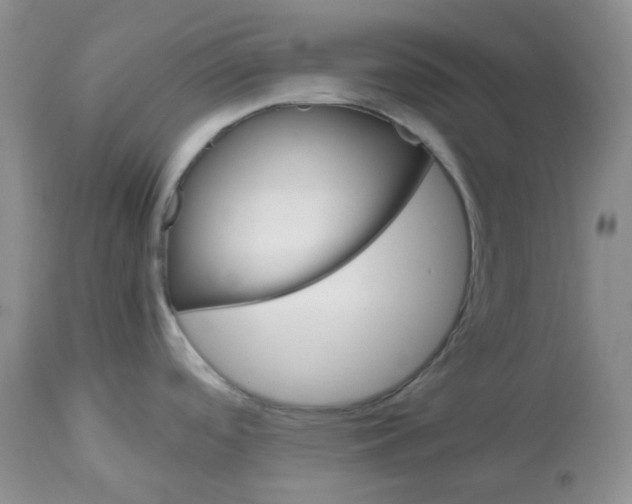 X0000114011488200910231803