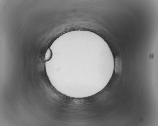 X0000114011491200910231803