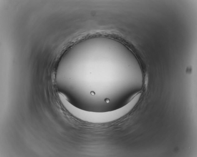 X0000114011492200910231803