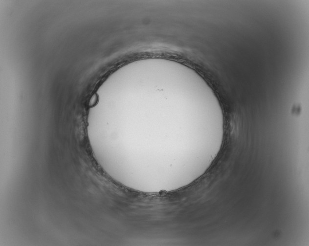 X0000114011493200910231803