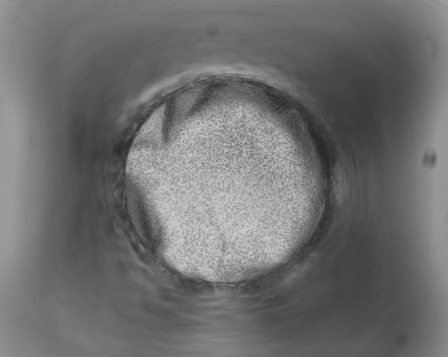 X0000114011494200910231803