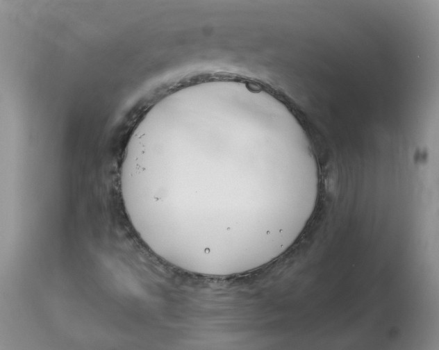 X0000114011495200910231803