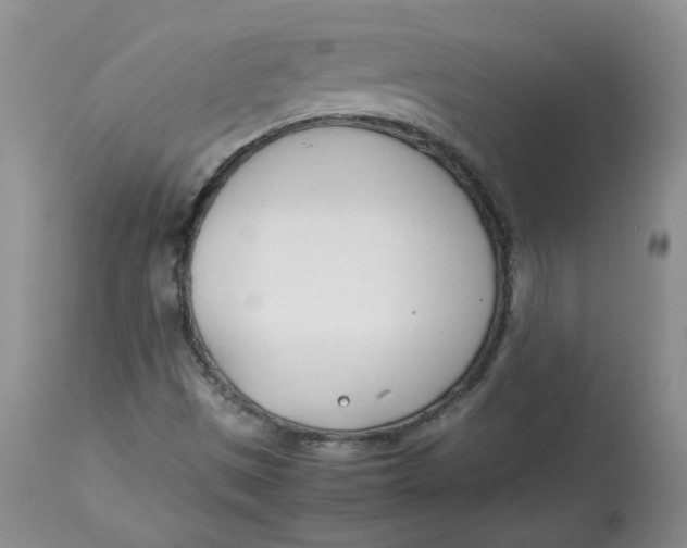 X0000114011497200910231803