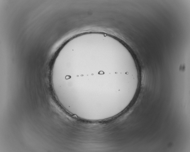 X0000114011502200910231803