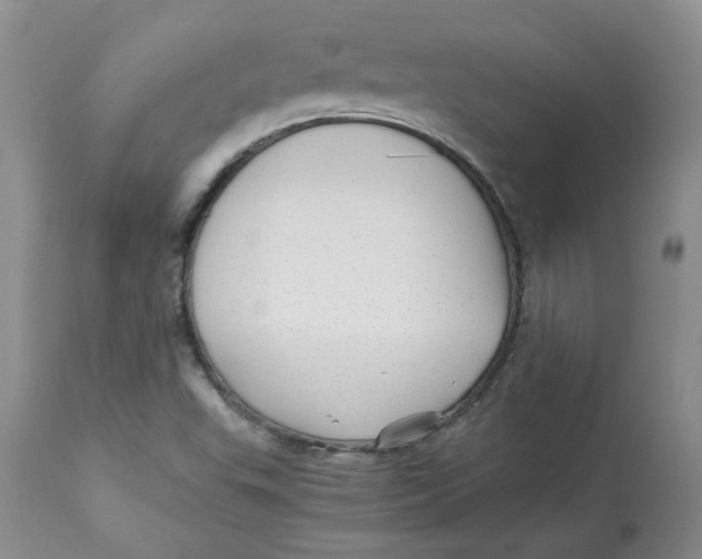 X0000114011503200910231803