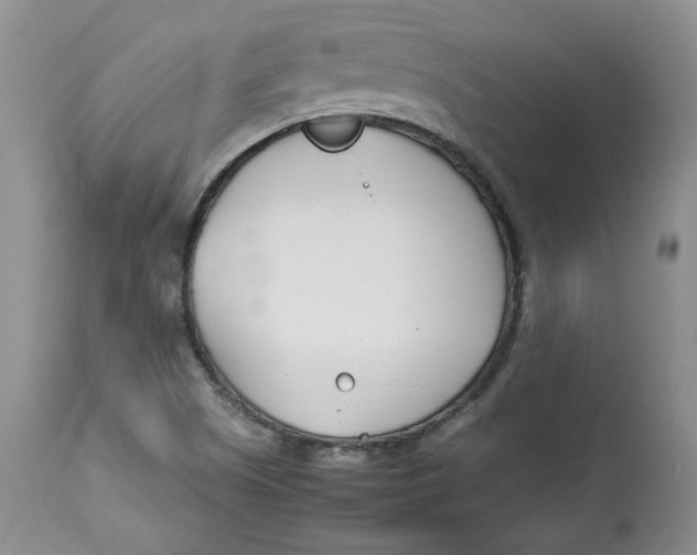 X0000114011505200910231803