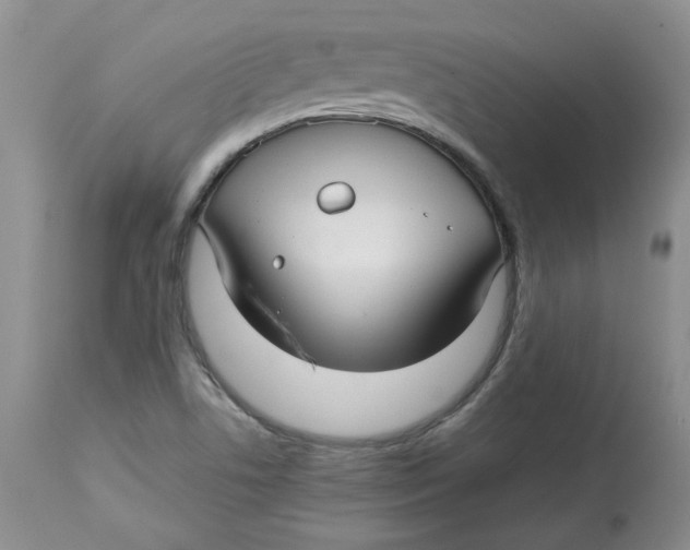 X0000114011506200910231803