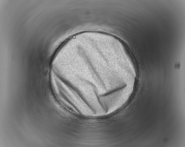 X0000114011507200910231803