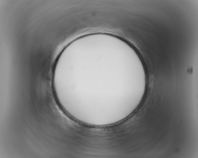 X0000114011508200910231803