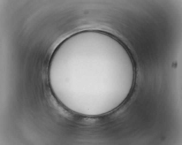 X0000114011513200910231803