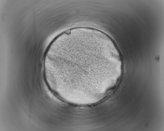 X0000114011515200910231803