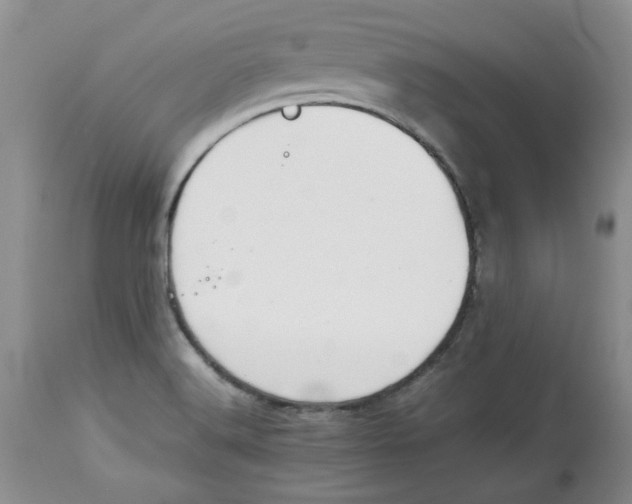 X0000114011516200910231803