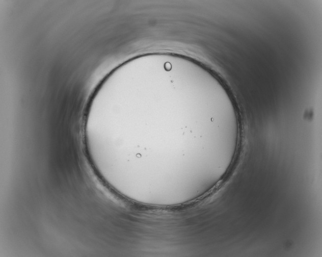 X0000114011517200910231803