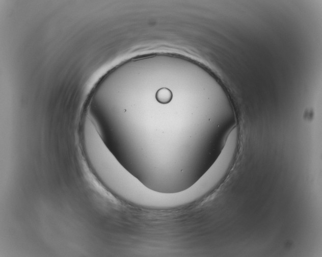 X0000114011518200910231803