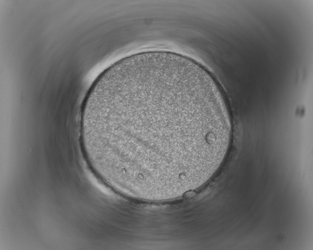 X0000114011519200910231803