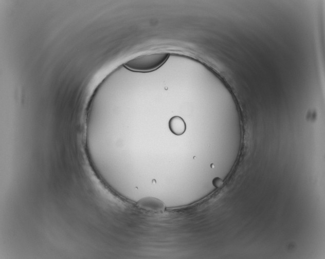 X0000114011520200910231803