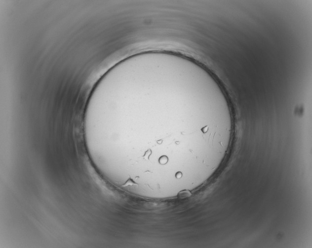 X0000114011521200910231803