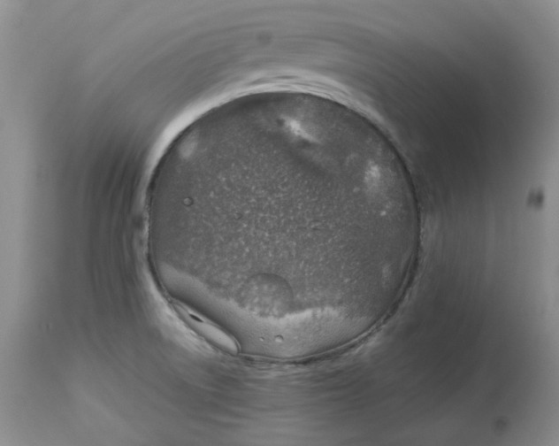 X0000114011522200910231803