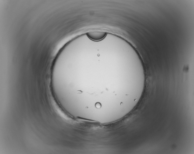 X0000114011523200910231803