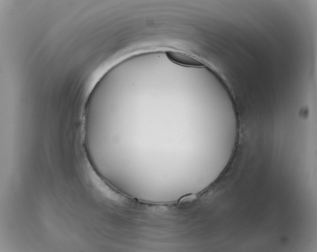 X0000114011524200910231803