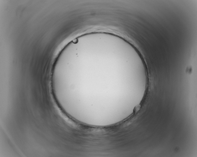 X0000114011525200910231803