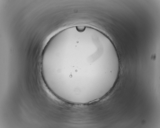 X0000114011526200910231803