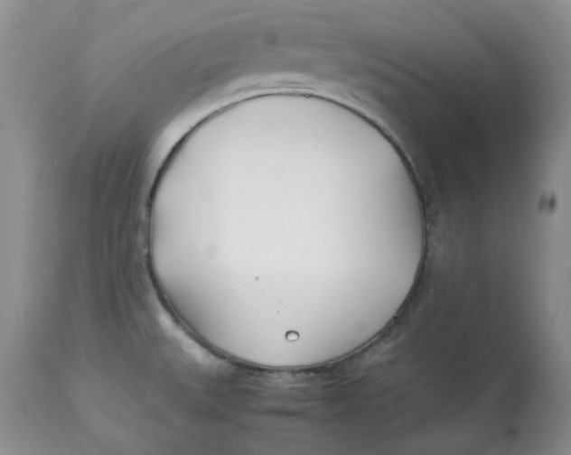 X0000114011527200910231803