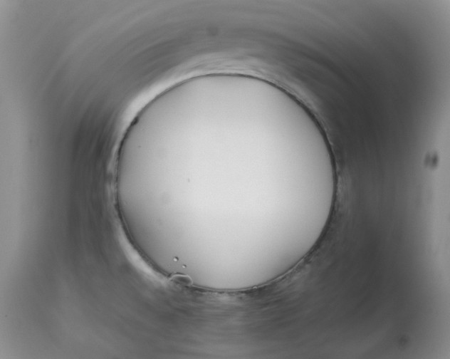 X0000114011528200910231803