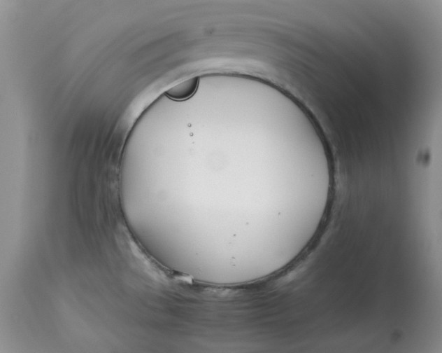 X0000114011529200910231803