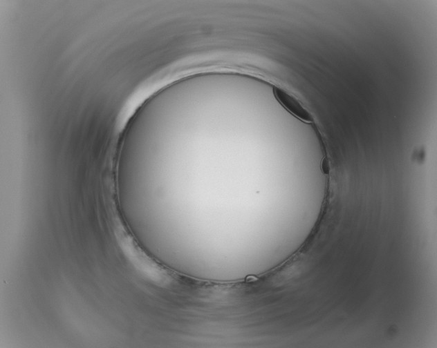 X0000114011530200910231803