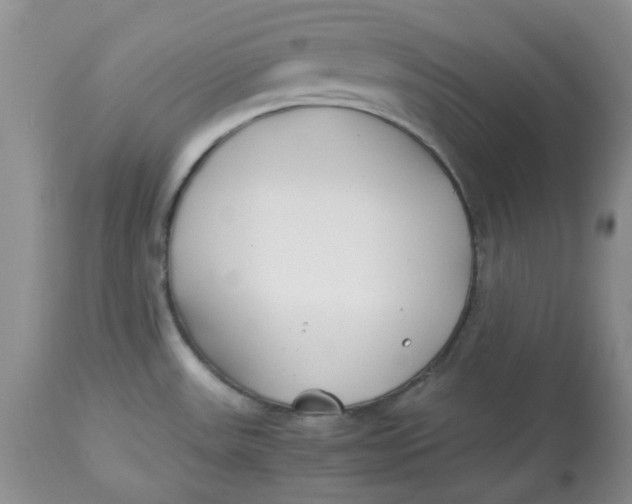 X0000114011531200910231803