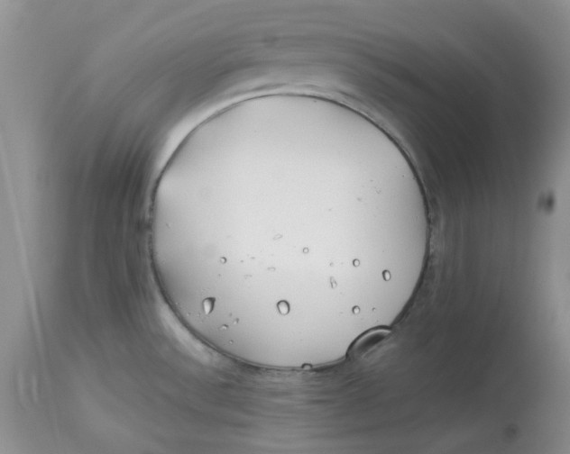 X0000114011532200910231803