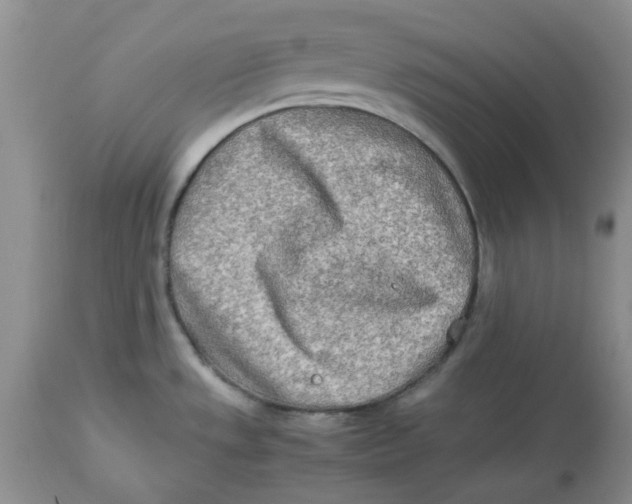 X0000114011533200910231803