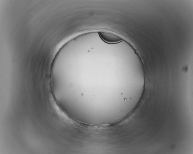 X0000114011534200910231803