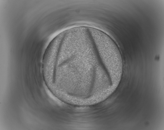 X0000114011535200910231803